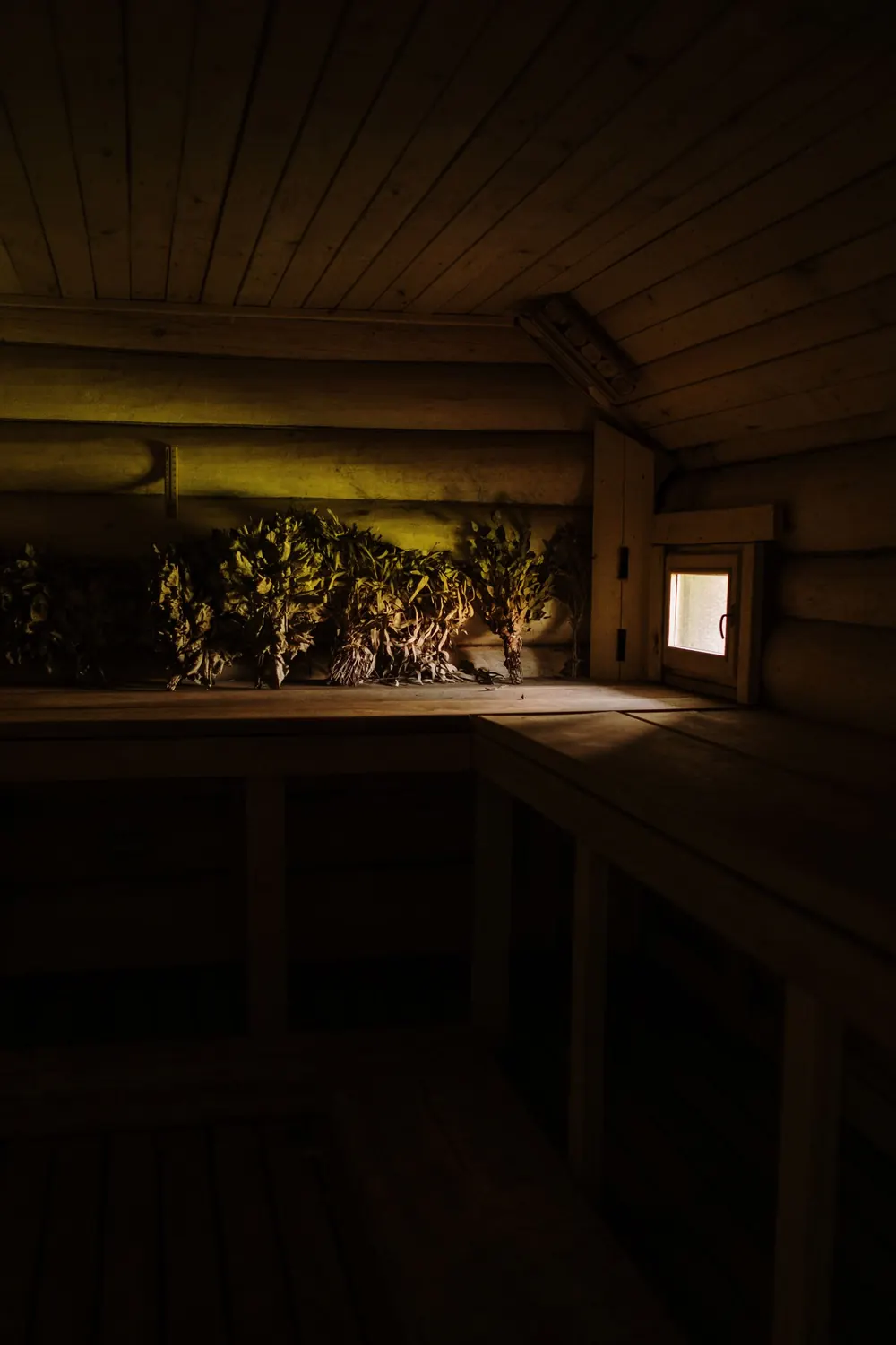 Sauna interior with dried herbs